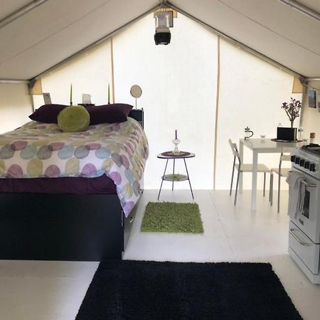 Hotel Vines And Puppies Glamping Hideaway Jade City Exterior foto